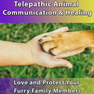 Telephathic Animal Communication and Healing